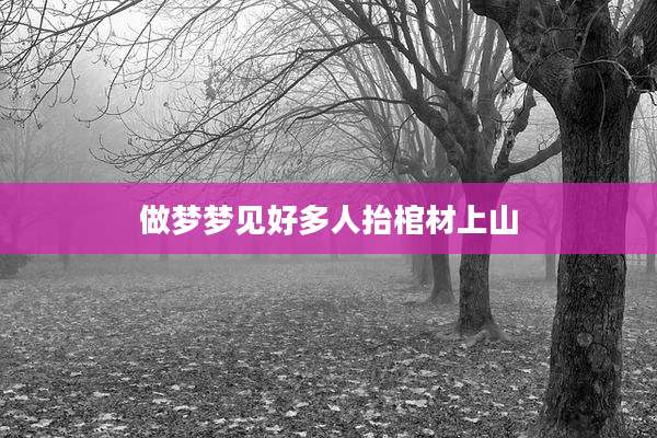 做梦梦见好多人抬棺材上山