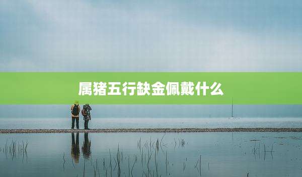 属猪五行缺金佩戴什么