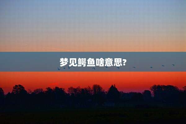 梦见鳄鱼啥意思?