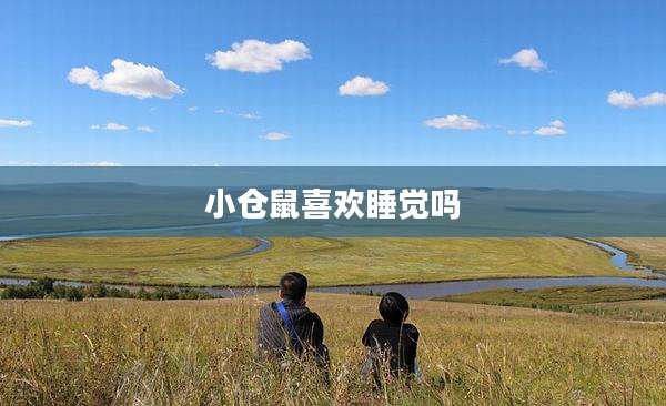 小仓鼠喜欢睡觉吗