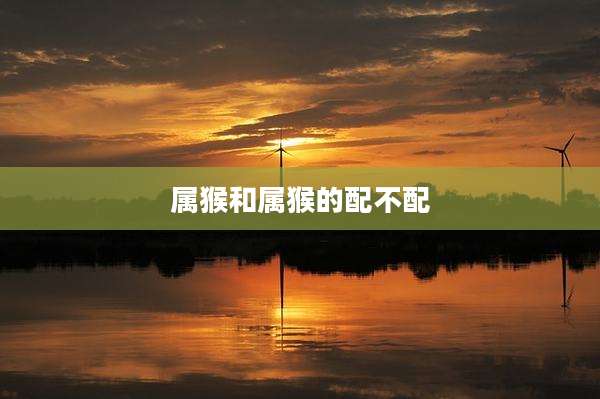 属猴和属猴的配不配