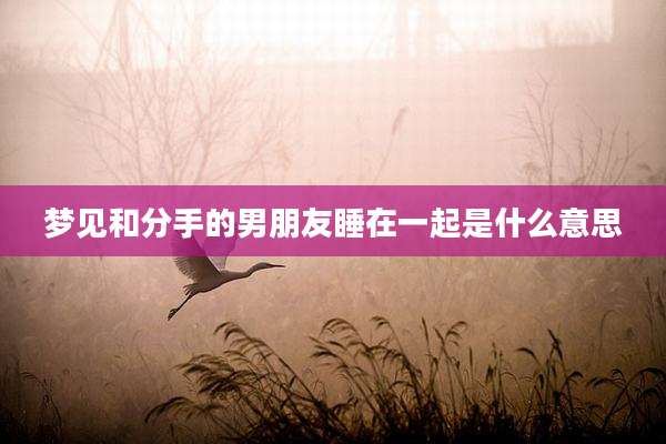 梦见和分手的男朋友睡在一起是什么意思