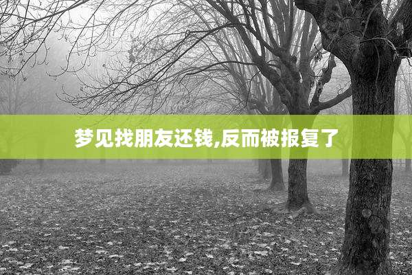 梦见找朋友还钱,反而被报复了