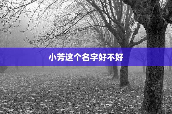 小芳这个名字好不好
