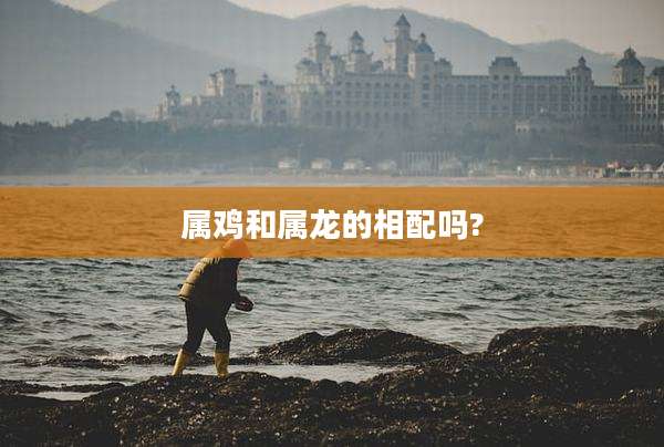 属鸡和属龙的相配吗?