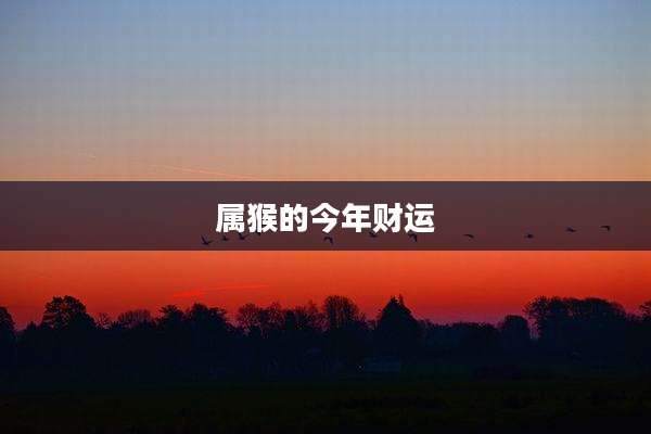 属猴的今年财运