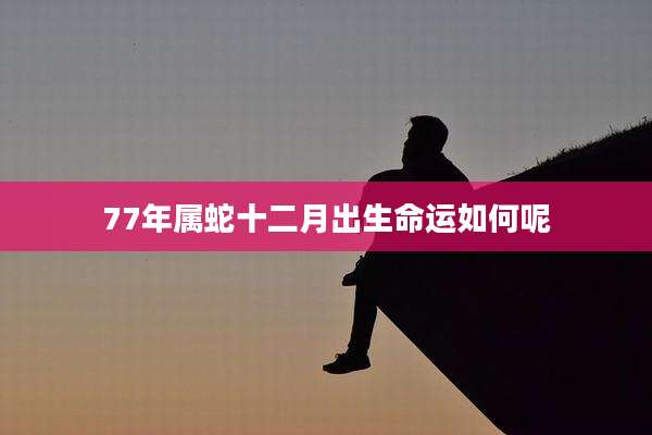 77年属蛇十二月出生命运如何呢