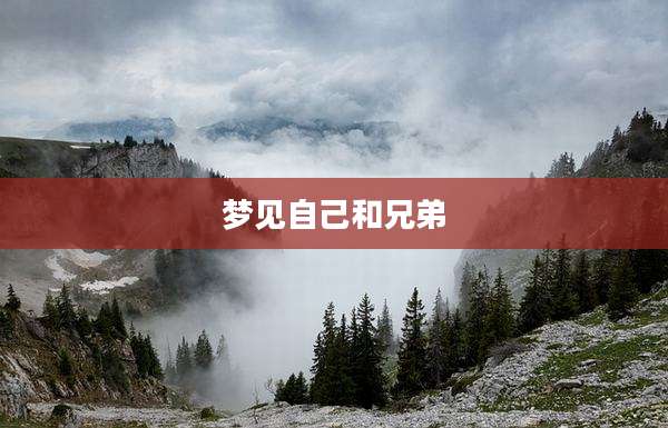 梦见自己和兄弟