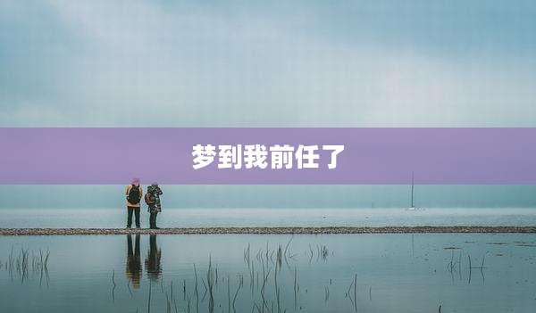 梦到我前任了