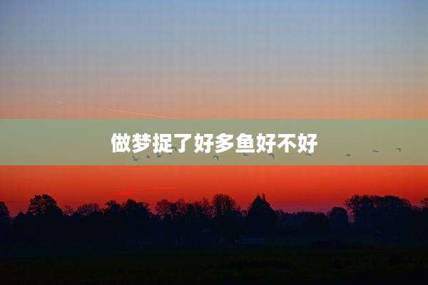 做梦捉了好多鱼好不好