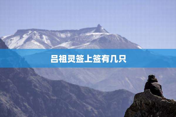 吕祖灵签上签有几只