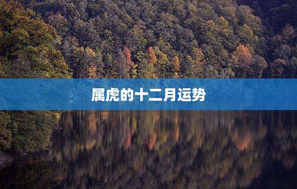属虎的十二月运势