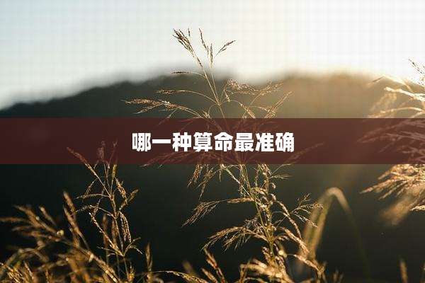 哪一种算命最准确