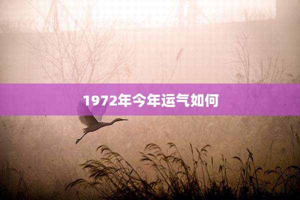 1972年今年运气如何