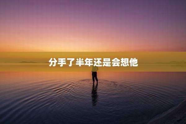 分手了半年还是会想他