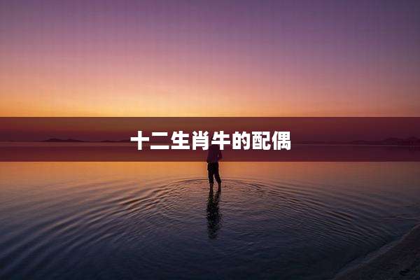 十二生肖牛的配偶