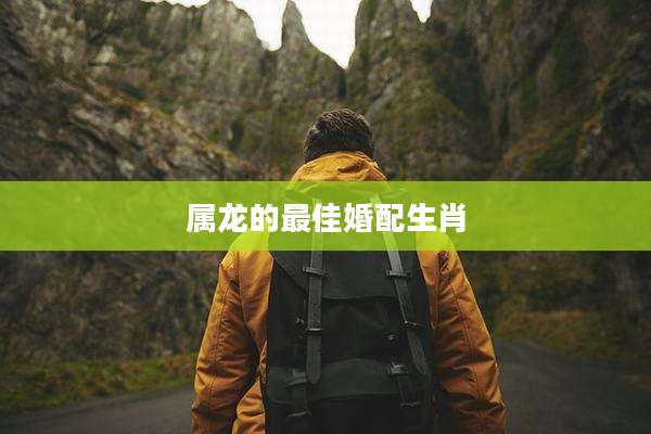 属龙的最佳婚配生肖