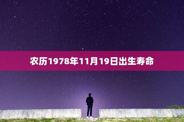 农历1978年11月19日出生寿命