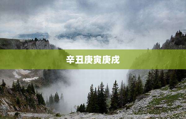 辛丑庚寅庚戌