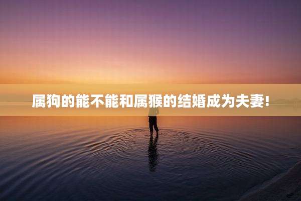属狗的能不能和属猴的结婚成为夫妻!