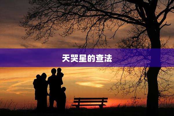天哭星的查法