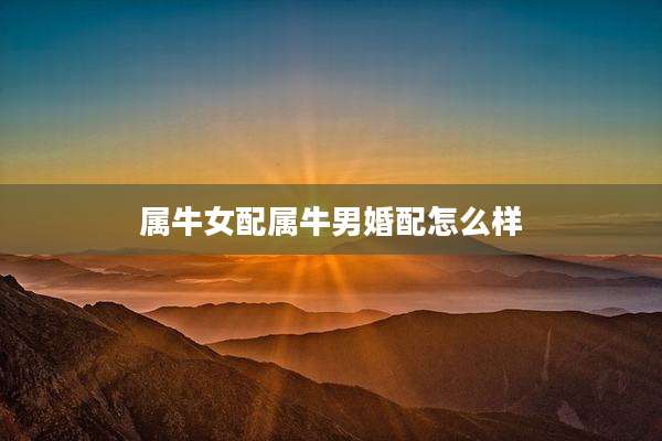 属牛女配属牛男婚配怎么样