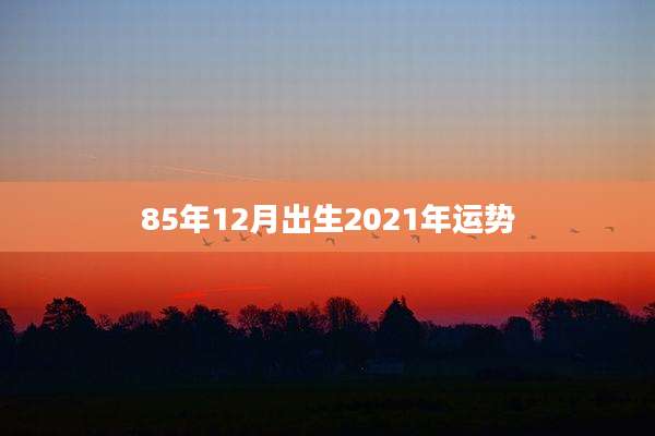 85年12月出生2021年运势