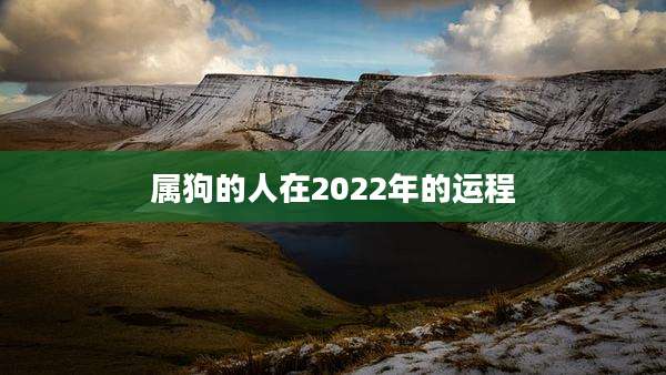 属狗的人在2022年的运程