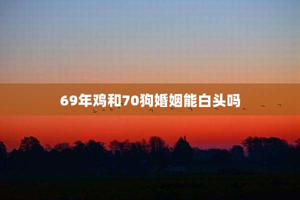69年鸡和70狗婚姻能白头吗