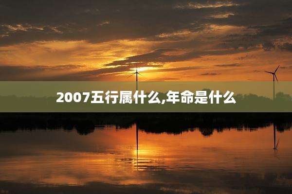 2007五行属什么,年命是什么
