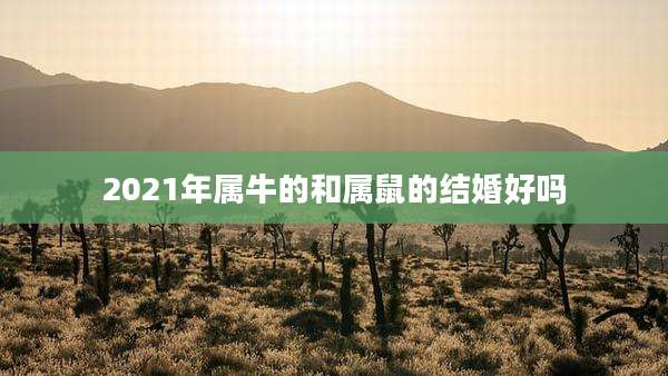 2021年属牛的和属鼠的结婚好吗