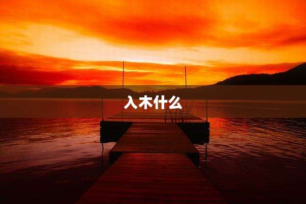 入木什么