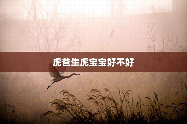 虎爸生虎宝宝好不好