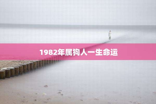 1982年属狗人一生命运