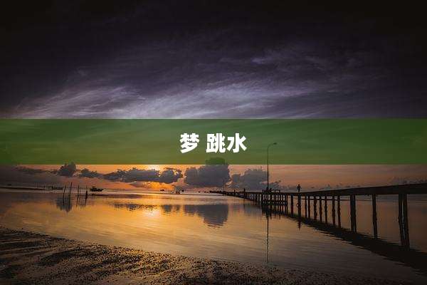 梦 跳水