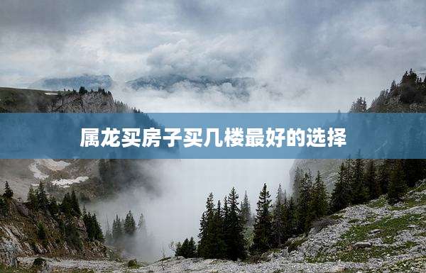 属龙买房子买几楼最好的选择
