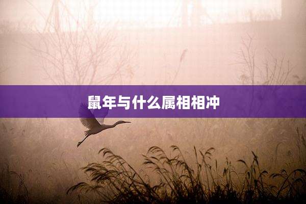 鼠年与什么属相相冲