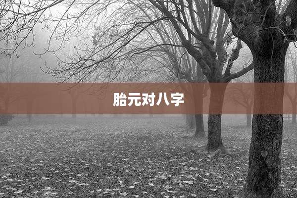 胎元对八字