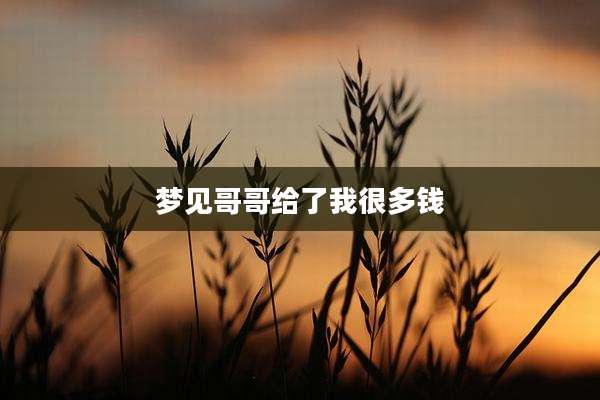 梦见哥哥给了我很多钱