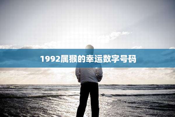 1992属猴的幸运数字号码