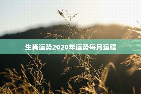 生肖运势2020年运势每月运程