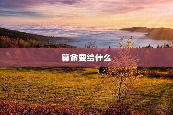 算命要给什么