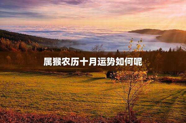 属猴农历十月运势如何呢