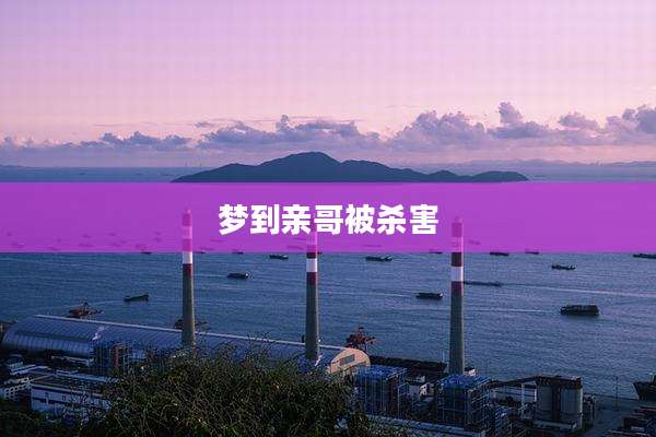 梦到亲哥被杀害