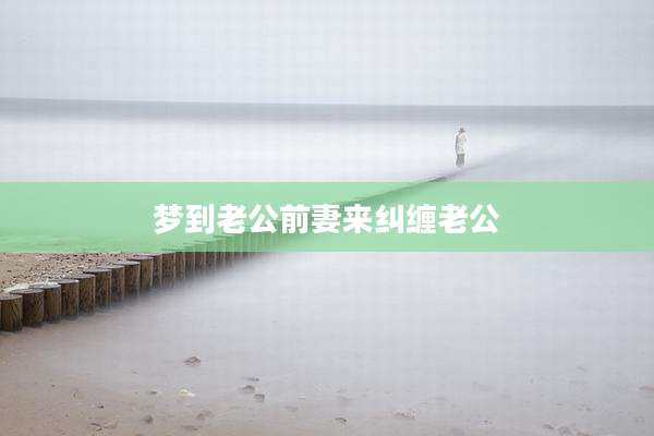 梦到老公前妻来纠缠老公
