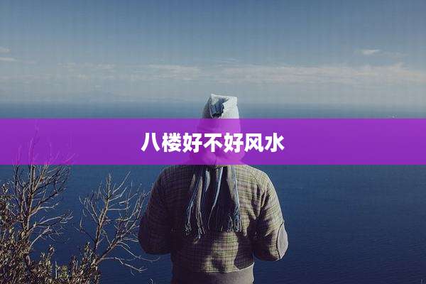 八楼好不好风水