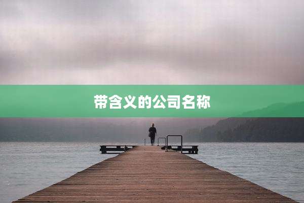 带含义的公司名称