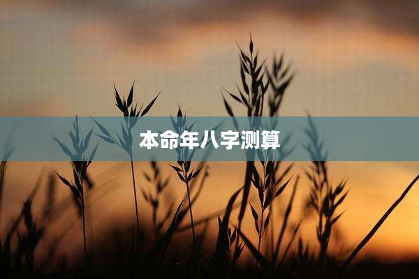 本命年八字测算