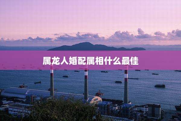 属龙人婚配属相什么最佳