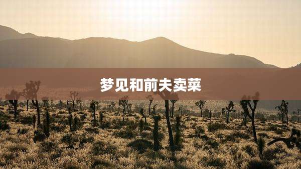 梦见和前夫卖菜